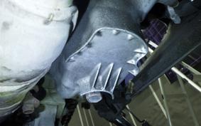 KAWASAKI ZX900R NINJA 2013 ZX900E