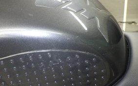 SUZUKI HAYABUSA Gen.3 2024 EJ11A
