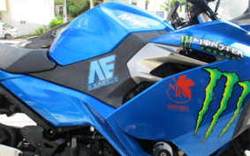 KAWASAKI NINJA 250 EX250P