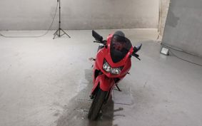 KAWASAKI NINJA250R EX250K