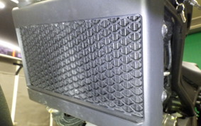 HONDA REBEL 250 2021 MC49