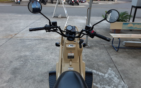 HONDA PS250 MF09
