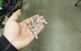 KAWASAKI KLX250 SR LX250E