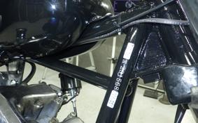 OTHER +UNREGISTERED MODEL by BDS1200 2026