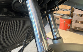 BMW F650GS 2010 0218