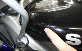 SUZUKI RGV250 Gamma Gen.3