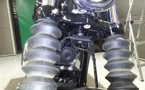 HARLEY FXBB1920 2025