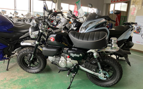 HONDA  MONKEY 125 JB05