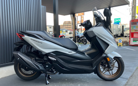 HONDA  FORZA 250 MF17