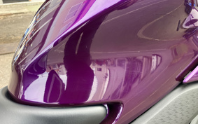 YAMAHA YZF-R25 RG74J