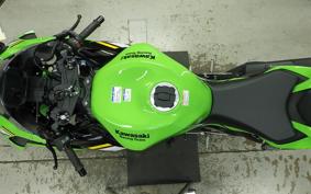 KAWASAKI NINJA ZX-6R A 2026 ZX636J