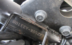 KAWASAKI NINJA 250R EX250K