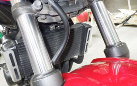 HONDA HORNET 250 2009 MC31