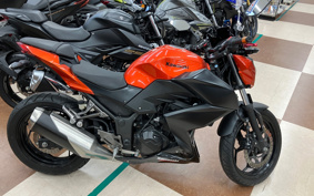 KAWASAKI Z250 ER250C