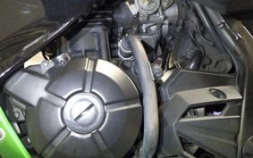 KAWASAKI Z300 2022