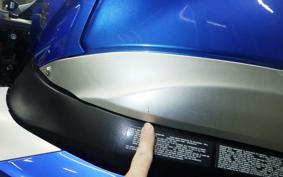 SUZUKI GSX-R1000 2010