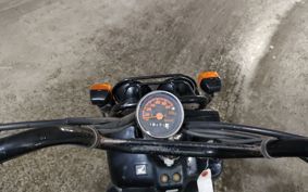 HONDA ZUMAR AF58