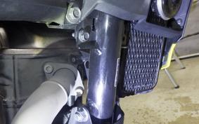 SUZUKI Vｽﾄﾛｰﾑ250SX 2025 EL11L