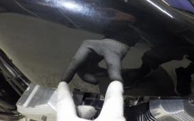 OTHER +UNREGISTERED MODEL by BDS250 2000