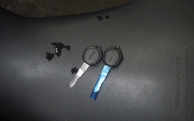 DUCATI MONSTER 937 + 2021