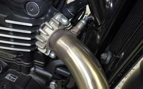 TRIUMPH SCRAMBLER 400X 2024