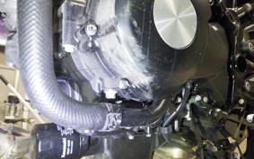 KAWASAKI Z900RS SE 2025