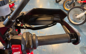 HARLEY  HARLEY FXBR BREAK  OUT 117 2025 YEZ