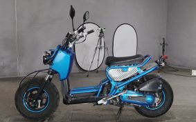 HONDA ZUMAR AF58