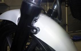 HONDA VTRF250 2006 MC33