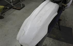 YAMAHA TT250R RAID 4GY