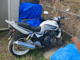 Фото Harley XG750 2020 с японского аукциона