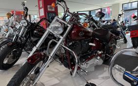 HARLEY FXCWC 2009 JK5