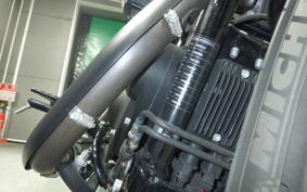 HARLEY XL1200NS 2018