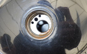 OTHER +UNREGISTERED MODEL by BDS250