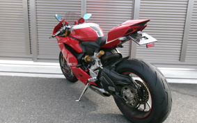 DUCATI DUCATI 1199PANIGA-RER 2013