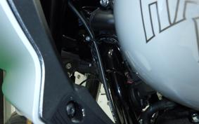 HARLEY FXLRST1920 2025