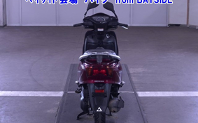 OTHER  LEAD 110EX
