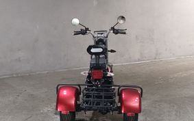 OTHER DENDOU TRIKE  ..