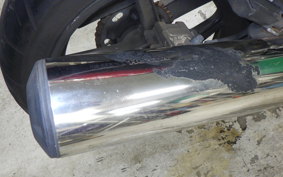 HONDA VTR 250 2024 MC33