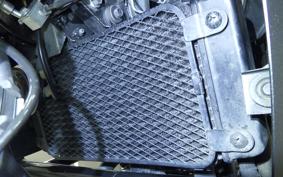 SUZUKI V-STROM 250 A