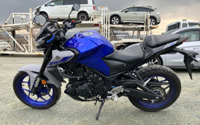 YAMAHA MT-25 RG43J