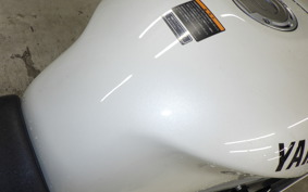 YAMAHA XSR900 GP 2024 RN96J