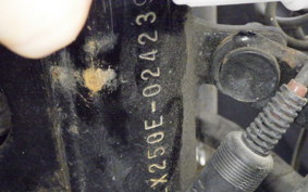KAWASAKI GPX250R EX250E