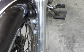 YAMAHA VIRAGO 250 2026 3DM