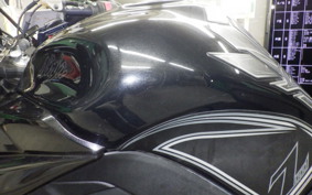 KAWASAKI NINJA 1000 2013