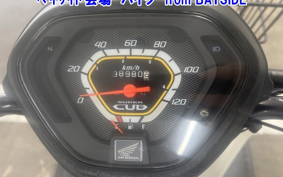 OTHER C110PU LOW 2