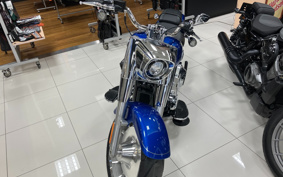 HARLEY  HARLEY FLFB 2025 YF9