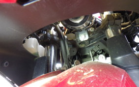 KAWASAKI NINJA 250 EX250P