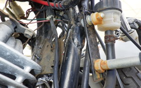 YAMAHA VIRAGO 250 TRIKE 2007 3DM