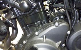 KAWASAKI ELIMINATOR400-3 2023 EL400A